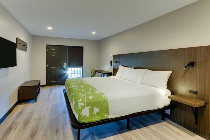 Imagen de la habitación del Hotel The Shamrock. Foto 12