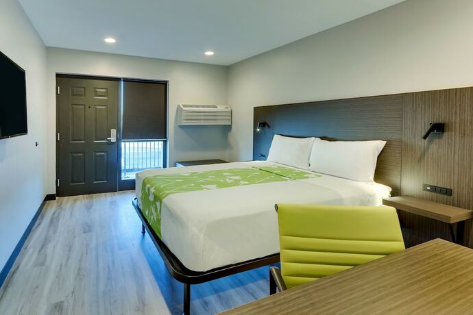 Imagen de la habitación del Hotel The Shamrock. Foto 13