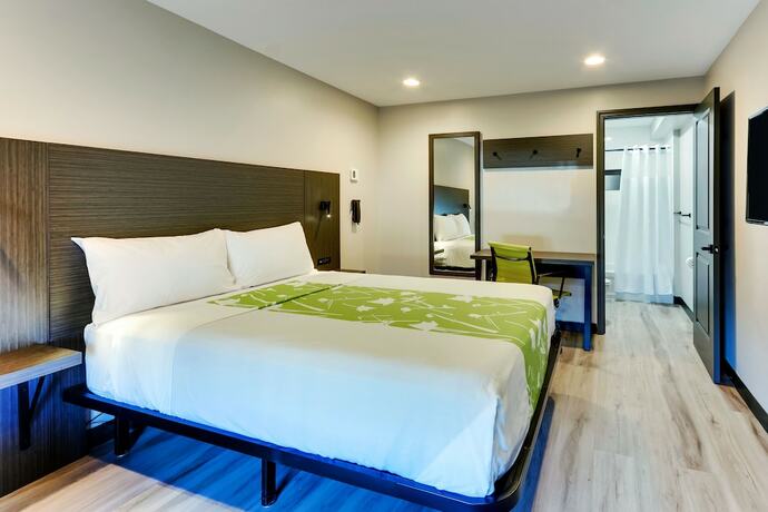 Imagen de la habitación del Hotel The Shamrock. Foto 14