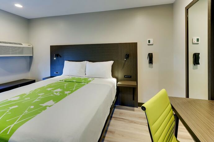 Imagen de la habitación del Hotel The Shamrock. Foto 15