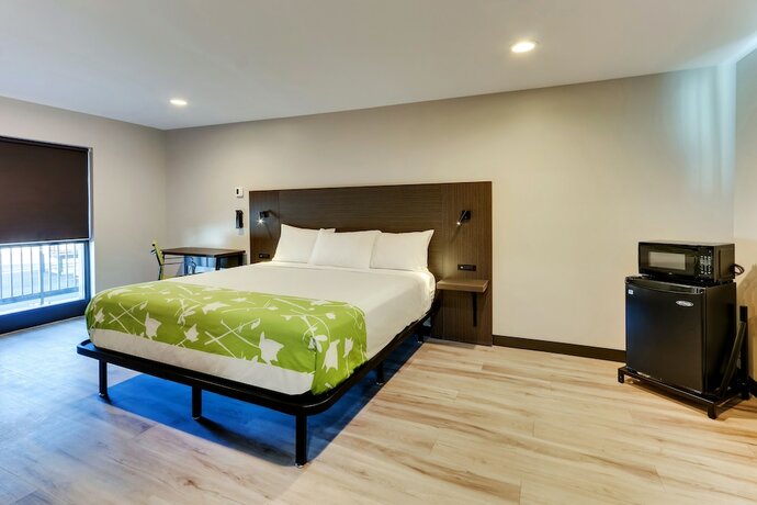 Imagen de la habitación del Hotel The Shamrock. Foto 17