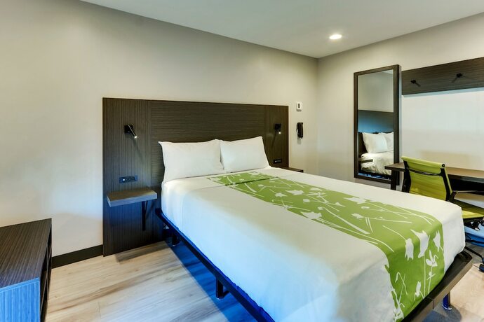 Imagen de la habitación del Hotel The Shamrock. Foto 18