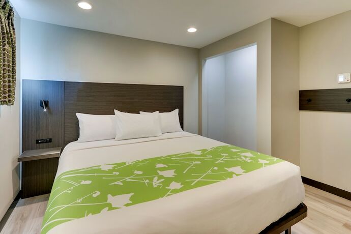 Imagen de la habitación del Hotel The Shamrock. Foto 19