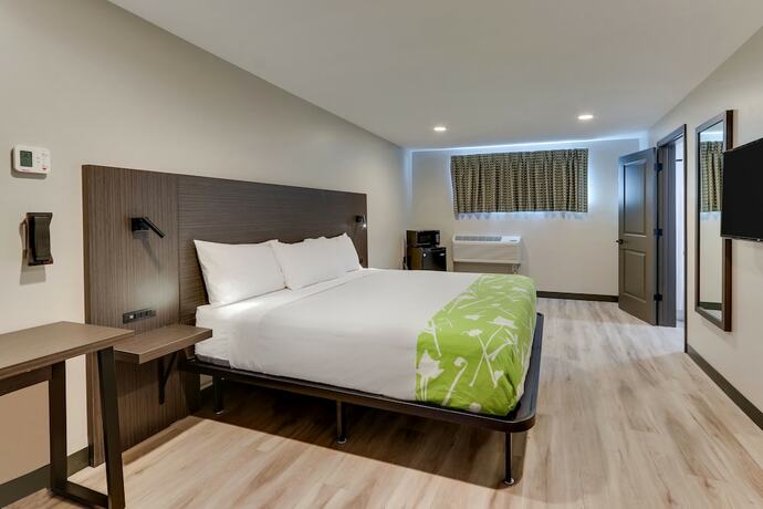 Imagen de la habitación del Hotel The Shamrock. Foto 20