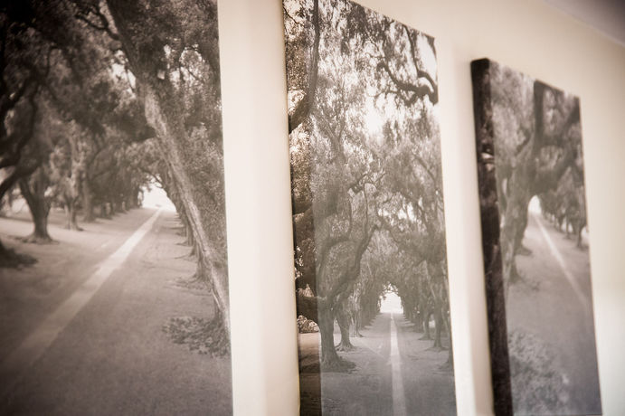 Imagen de la habitación del Hotel The Sharnbrook. Foto 14