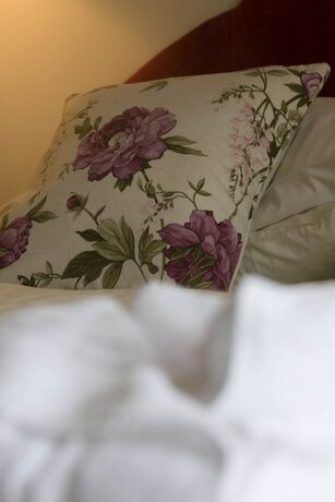 Imagen general del Hotel The Ship Inn. Foto 10