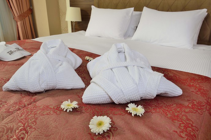 Imagen de la habitación del Hotel The Sign Kocaeli Thermal Spa and Convention Center. Foto 10