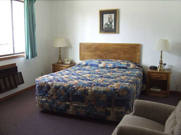 Imagen de la habitación del Hotel The Skyline Motel. Foto 3