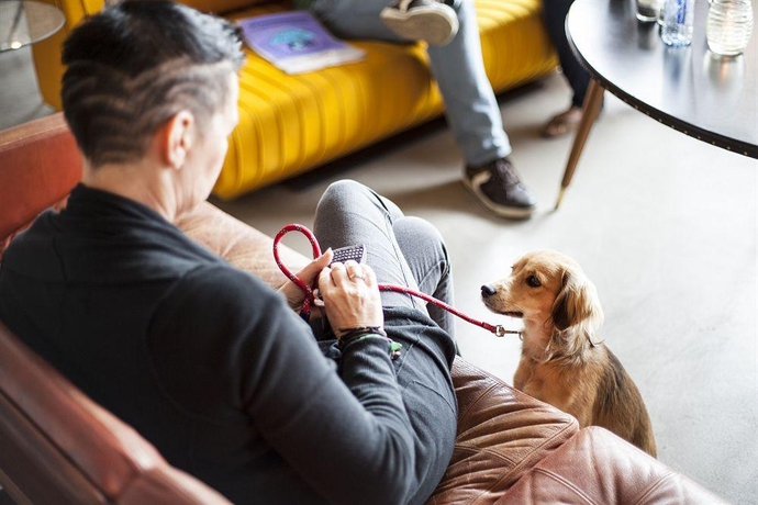 Imagen general del Hotel The Social Hub Rotterdam. Foto 14