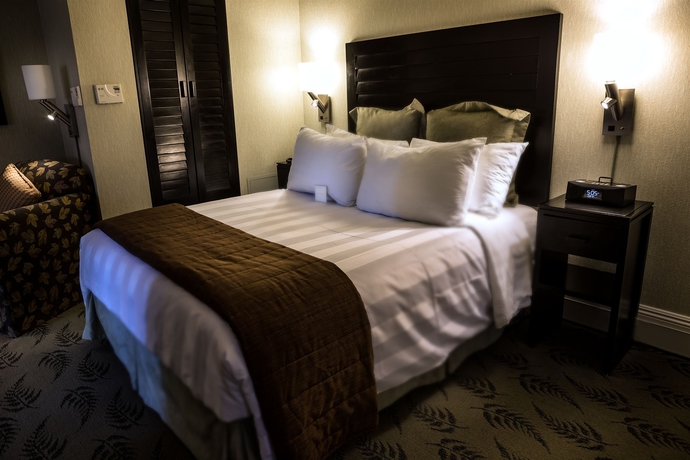 Imagen de la habitación del Hotel The Sofia. Foto 2