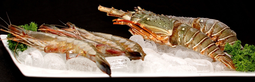 Imagen del bar/restaurante del Hotel The Somerset. Foto 8