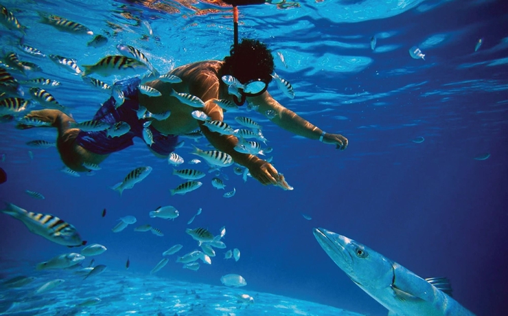 Imagen general del Hotel The Somerset. Foto 2