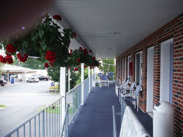Imagen general del Hotel The Springs Motel, Saratoga Springs. Foto 4