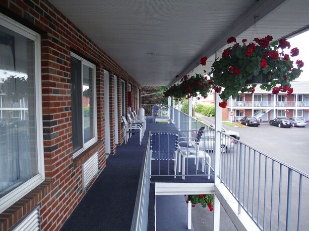 Imagen general del Hotel The Springs Motel, Saratoga Springs. Foto 5