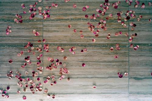 Imagen general del Hotel The St. Regis San Francisco. Foto 6