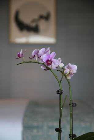 Imagen de la habitación del Hotel The St. Regis Shanghai Jingan. Foto 8