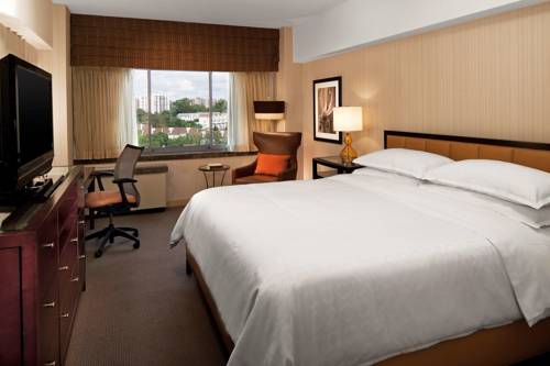 Imagen de la habitación del Hotel The Stamford. Foto 2