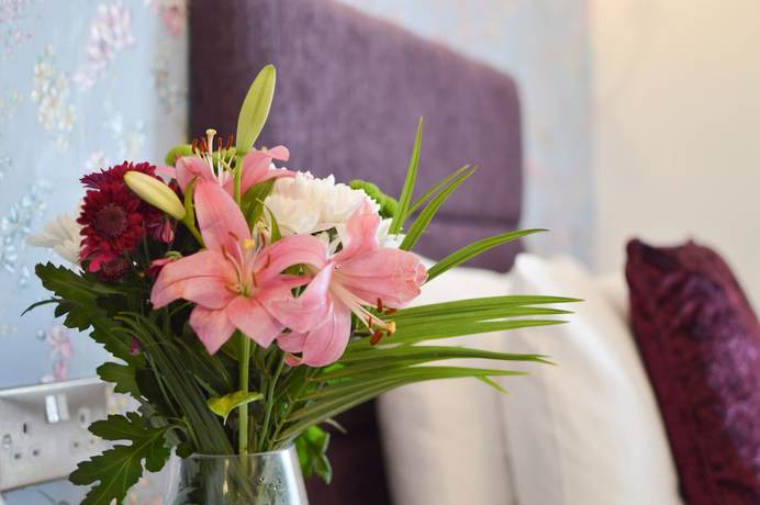 Imagen de la habitación del Hotel The Star. Foto 14