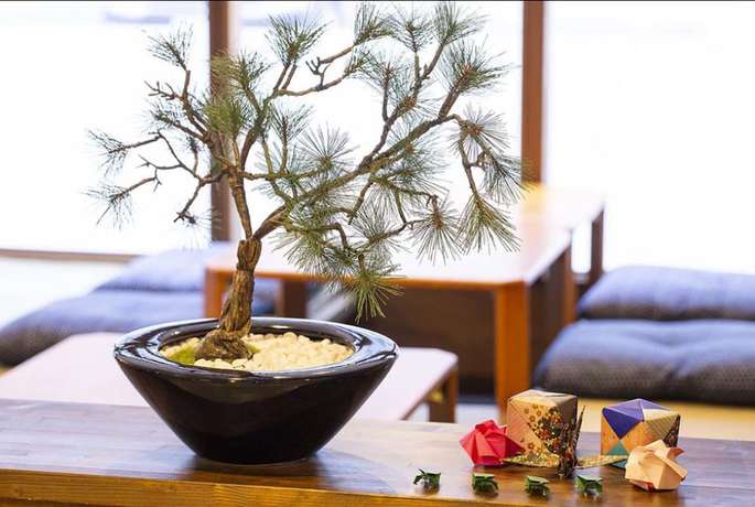 Imagen de los interiores del Hotel The Stay Sapporo Nagomi - Hostel. Foto 18