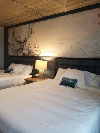 Imagen de la habitación del Hotel The Stella and Ballroom. Foto 10