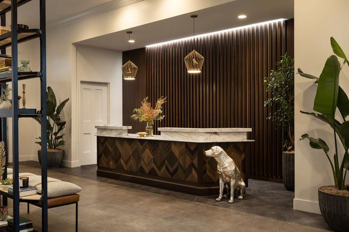 Imagen de los interiores del Hotel The Steward, Santa Barbara, a Tribute Portfolio. Foto 12