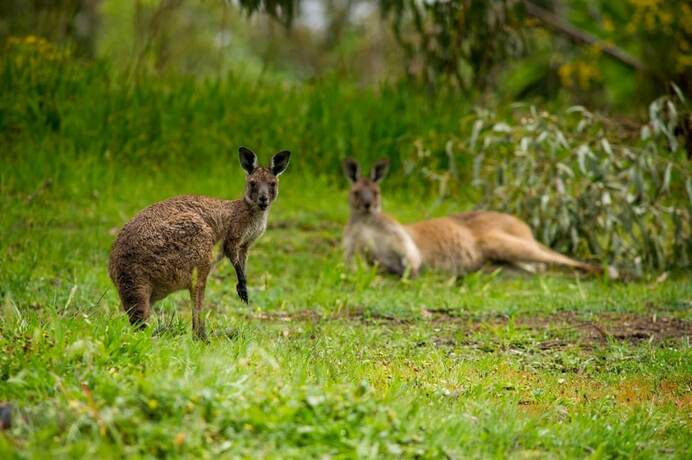 Imagen general del Hotel The Stirling Golf Club. Foto 15