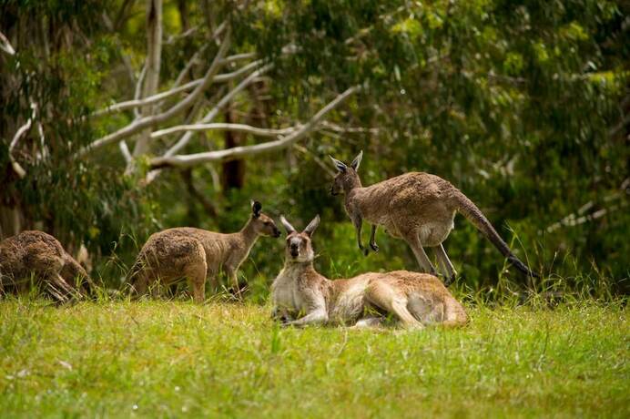 Imagen general del Hotel The Stirling Golf Club. Foto 16