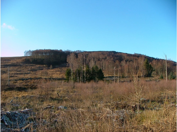 Imagen de los interiores del Hotel The Struan Inn. Foto 18