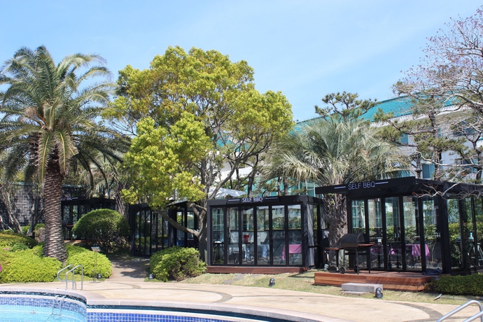 Imagen de la piscina del Hotel The Suites Hotel Jeju. Foto 15