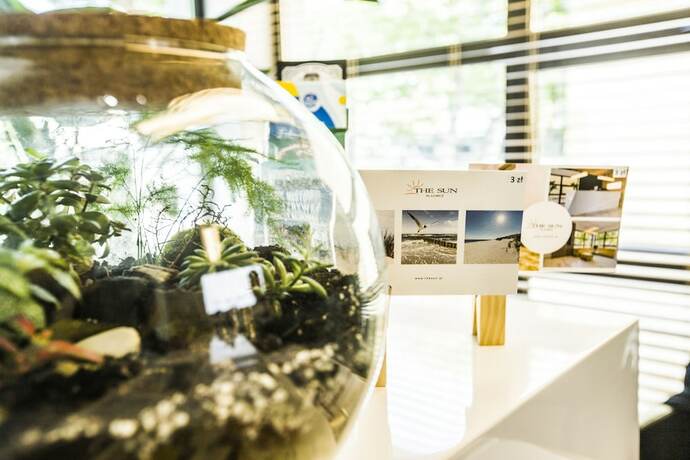 Imagen general del Hotel The Sun by Lubicz. Foto 2