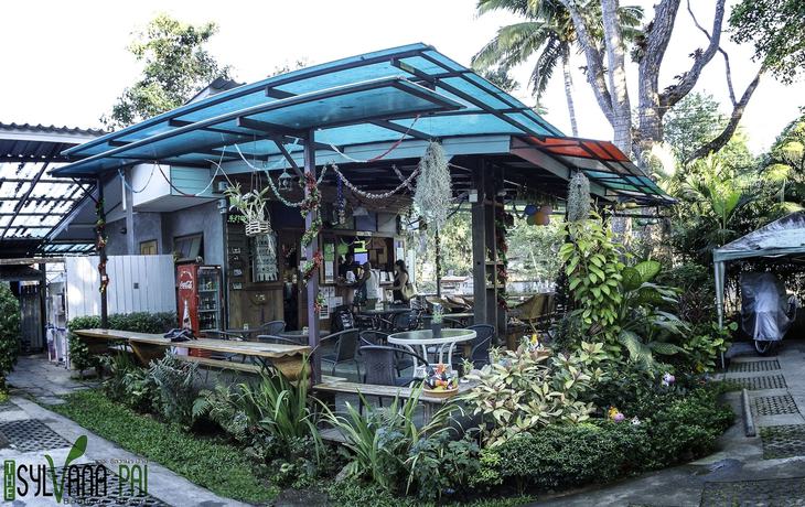 Imagen de la habitación del Hotel The Sylvana Pai Boutique Resort. Foto 17