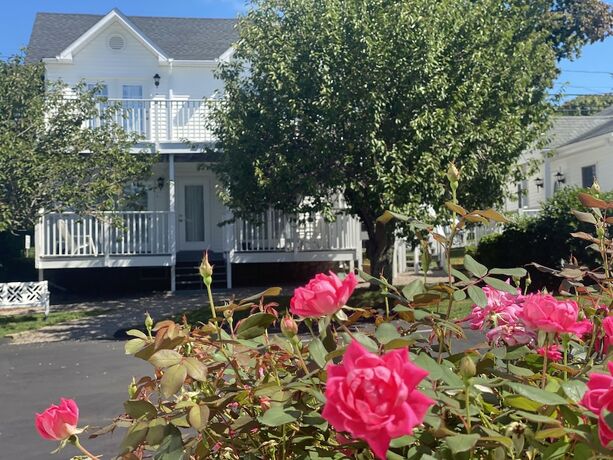 Imagen general del Hotel The Taber Inne and Suites. Foto 7