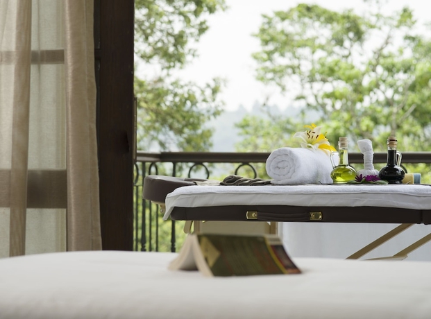 Imagen de la piscina del Hotel The Tamara Kodai. Foto 19