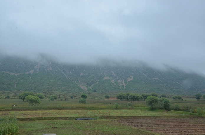 Imagen de los exteriores del Hotel The Tiger Hill Sariska Resort. Foto 16