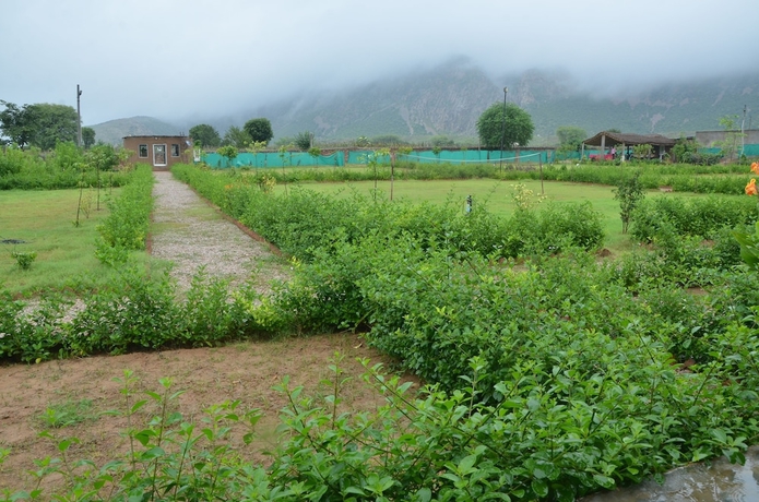 Imagen de los exteriores del Hotel The Tiger Hill Sariska Resort. Foto 17