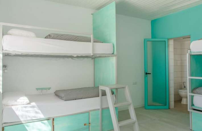 Imagen de la habitación del Hotel The Tree House Hostel. Foto 16