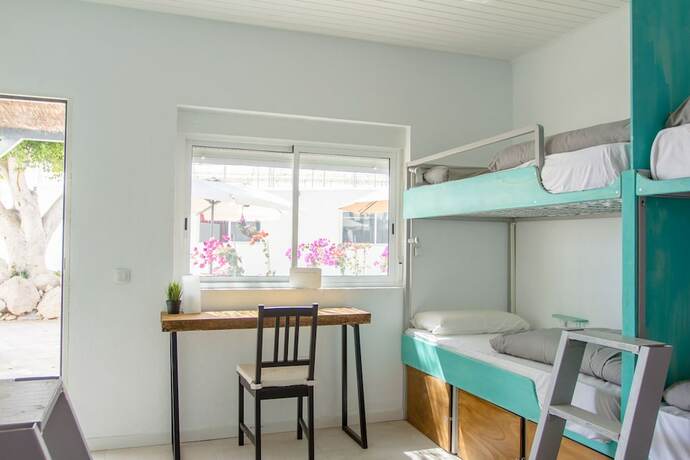 Imagen general del Hotel The Tree House Hostel. Foto 10