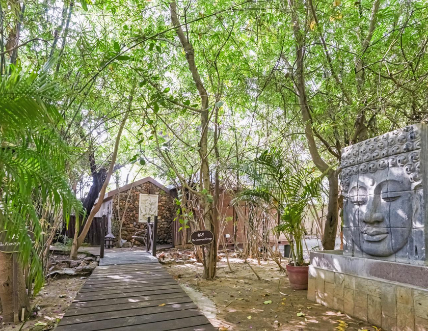 Imagen general del Hotel The Tree House Resort, Chandwaji. Foto 10
