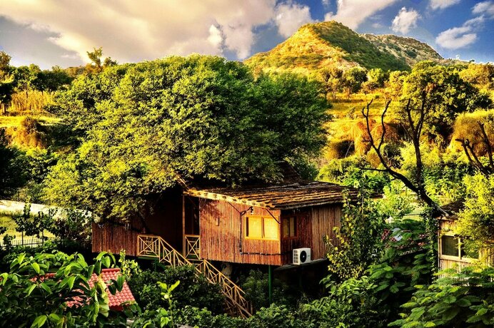 Imagen general del Hotel The Tree House Resort, Chandwaji. Foto 11