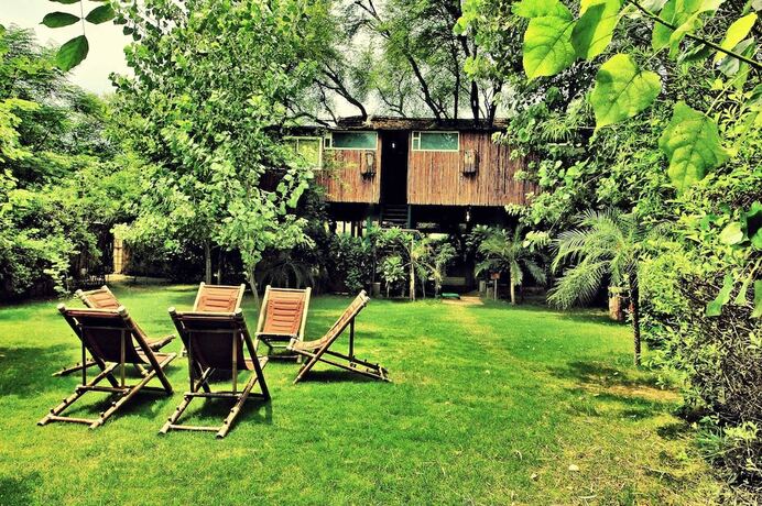 Imagen general del Hotel The Tree House Resort, Chandwaji. Foto 14