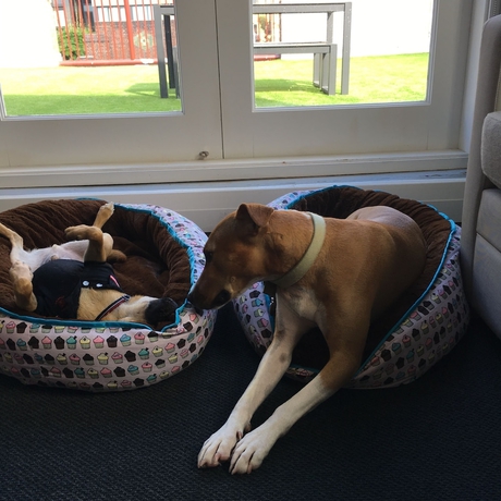 Imagen de la habitación del Hotel The Ultimo. Foto 14