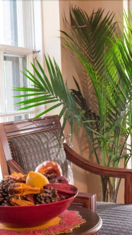 Imagen de los interiores del Hotel The University Inn Ann Arbor. Foto 15