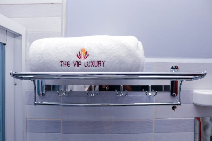 Imagen de la habitación del Hotel The VIP Luxury Lounge. Foto 4