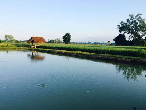 Imagen general del Hotel The Vacation Baanraipaina. Foto 2