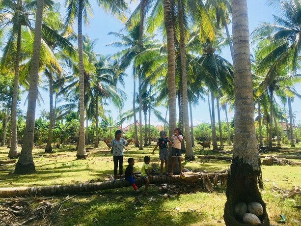 Imagen de los exteriores del Hotel The Vagary Vibes. Foto 33