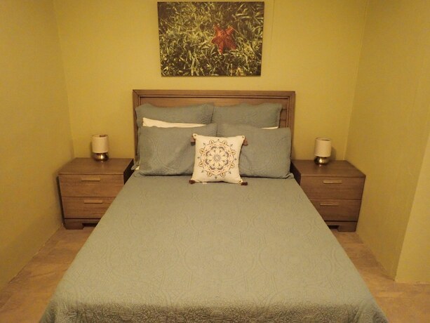 Imagen general del Hotel The Vieques Guesthouse. Foto 6