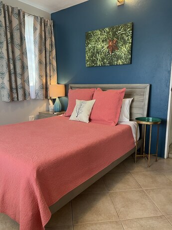 Imagen de la habitación del Hotel The Vieques Guesthouse. Foto 17