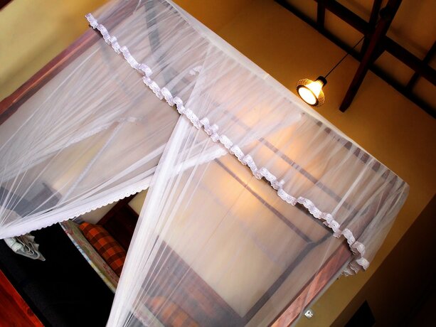 Imagen general del Hotel The View Ella. Foto 16