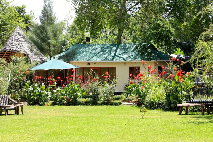 Imagen de los interiores del Hotel The Vijiji Center Lodge and Safari. Foto 17