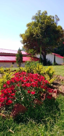 Imagen de los exteriores del Hotel The Village Retreat Resort. Foto 9